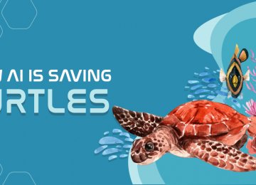 How AI is Saving Sea Turtles?